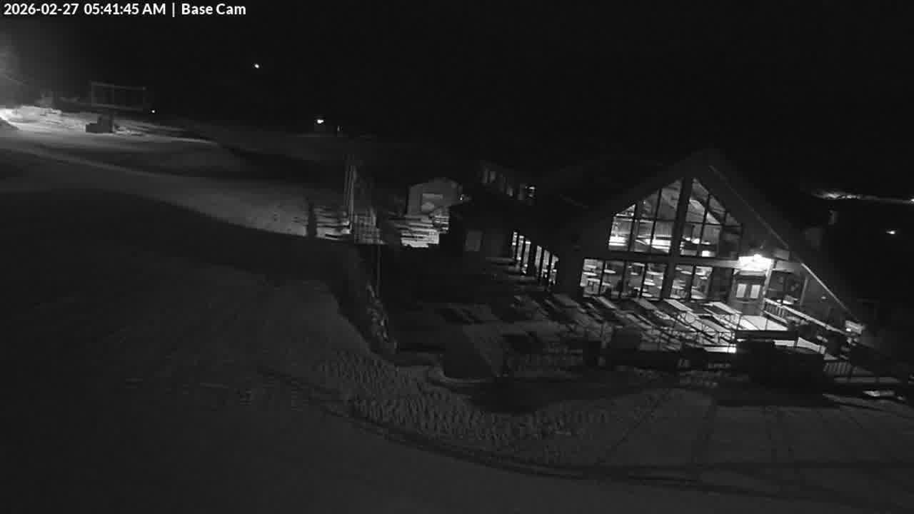 Webcam Wolf Creek: Treasure