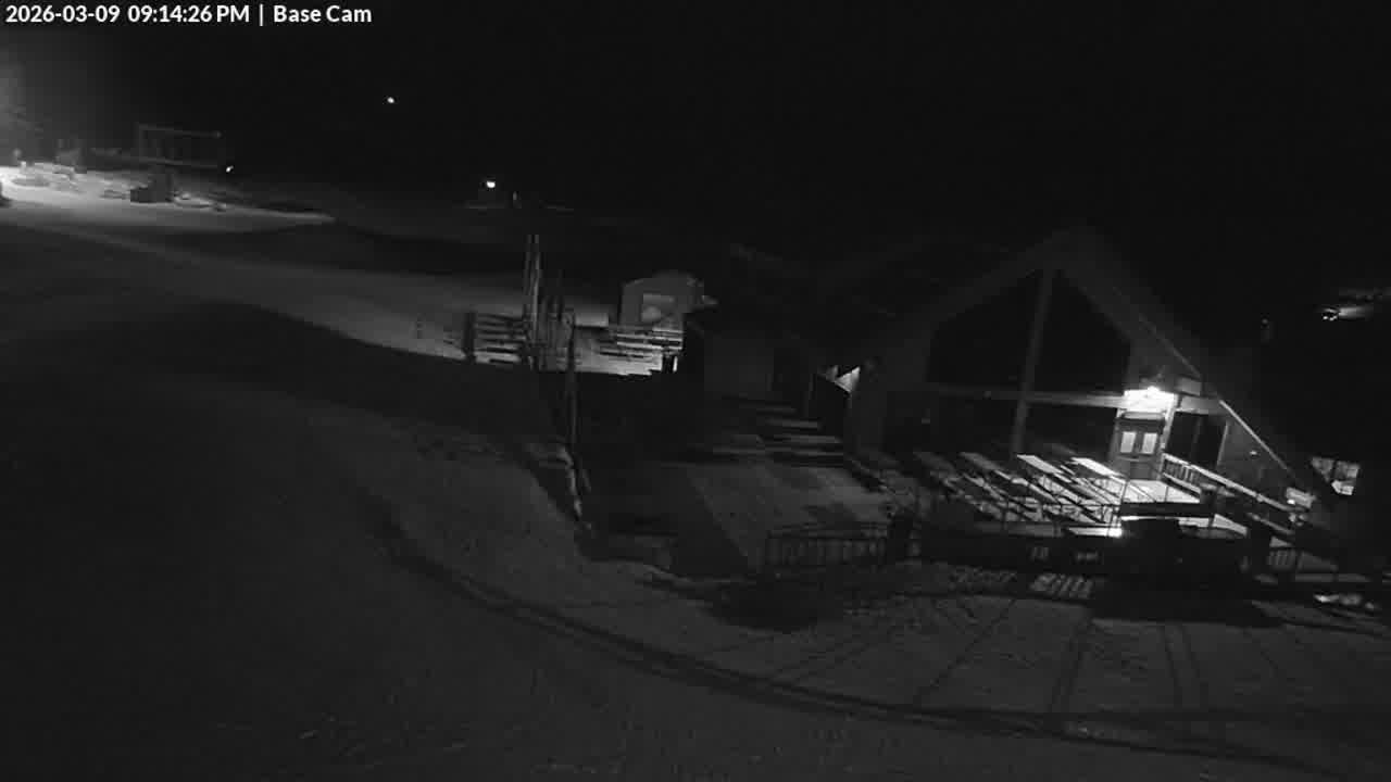 Webcam Wolf Creek: Treasure