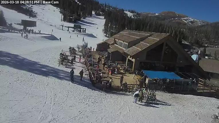 Webcam Wolf Creek: Treasure