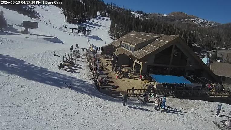 Webcam Wolf Creek: Treasure