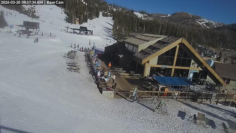 Webcam Wolf Creek: Treasure