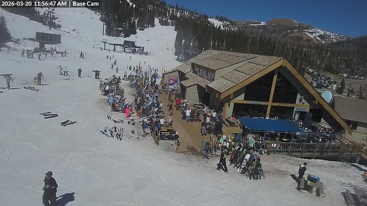 Webcam Wolf Creek: Treasure