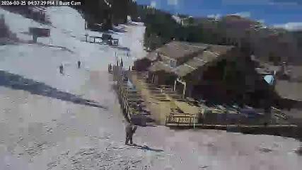 Wolf Creek: Treasure (wolfcreekski.com)