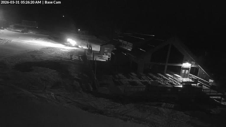 Webcam Wolf Creek: Treasure