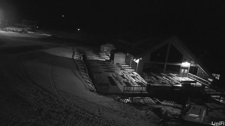 Webcam Wolf Creek: Treasure