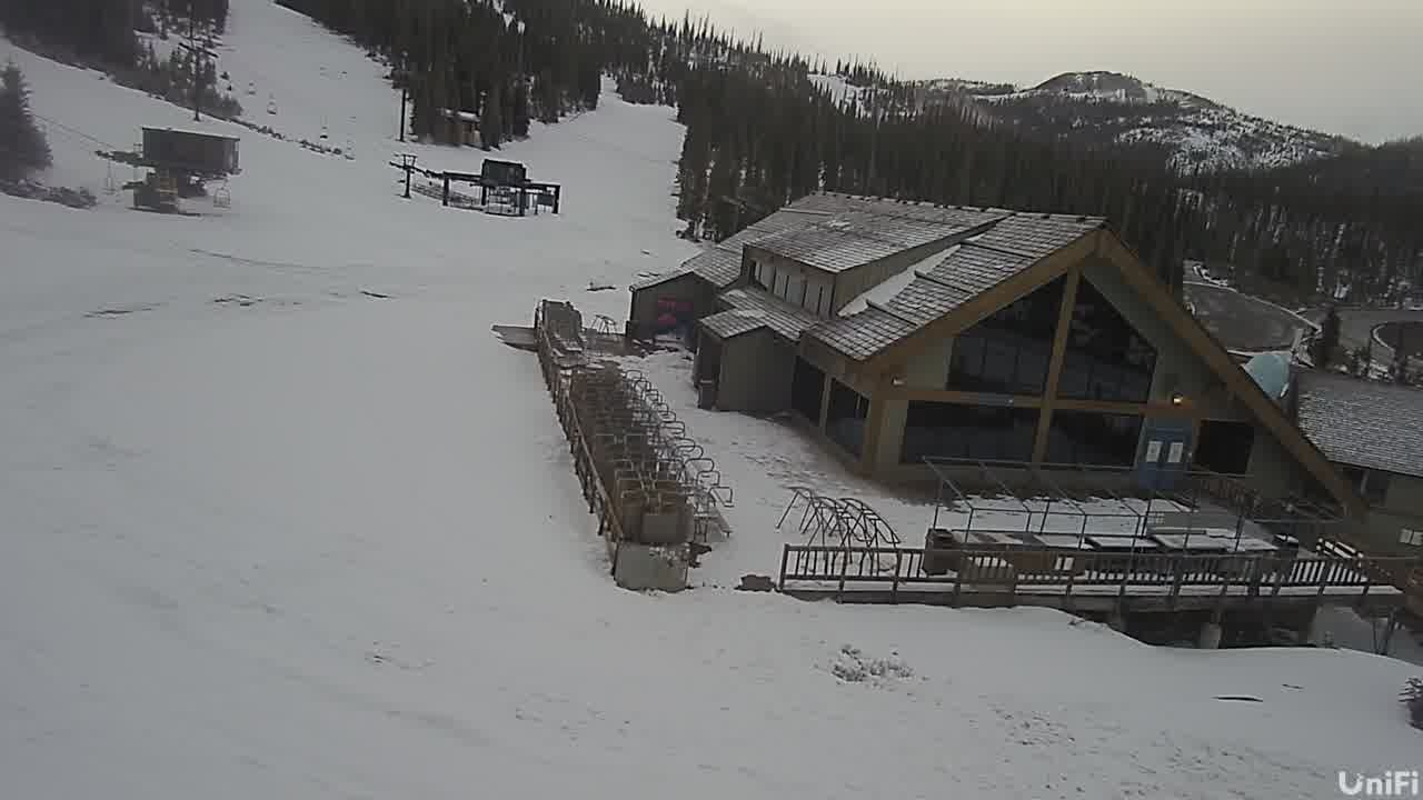 Webcam Wolf Creek: Treasure