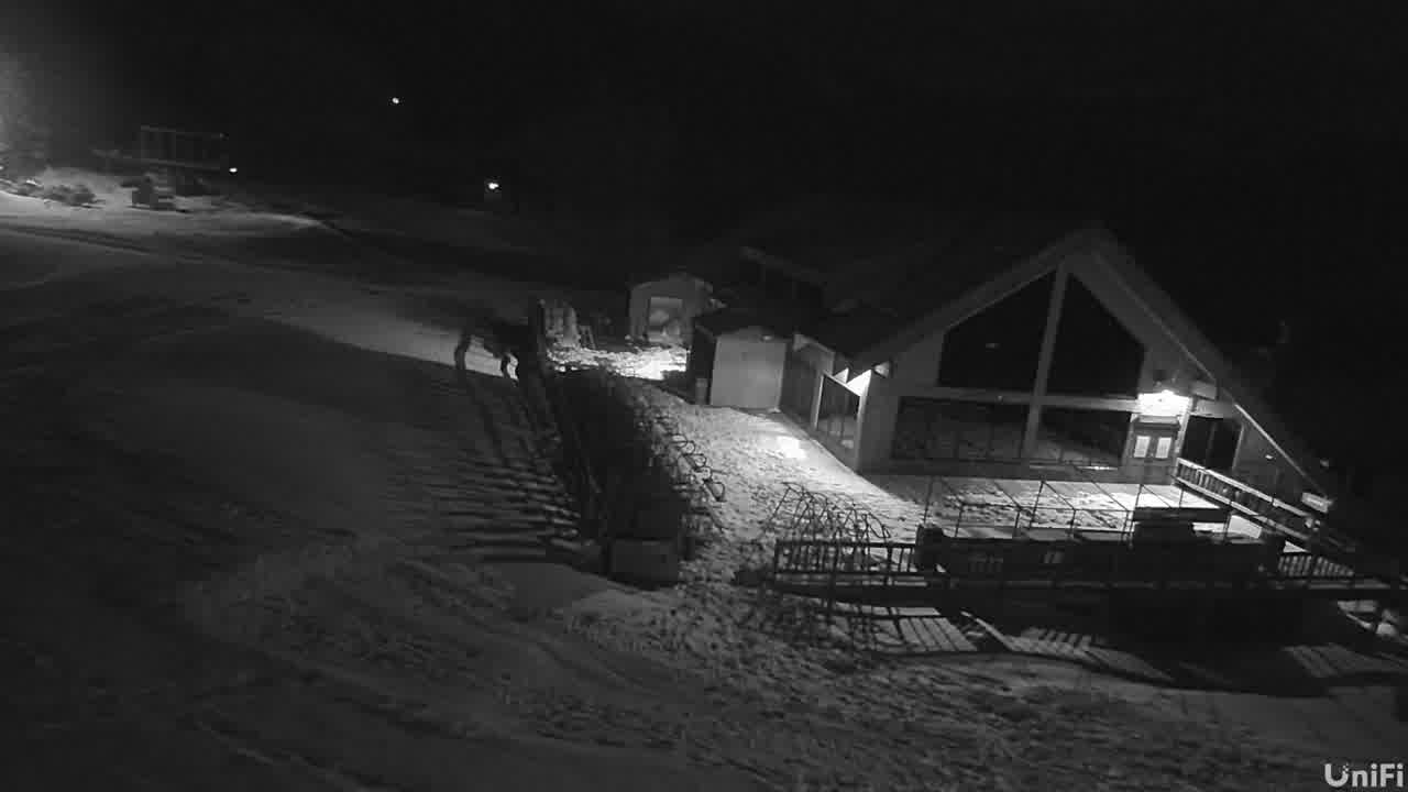 Webcam Wolf Creek: Treasure