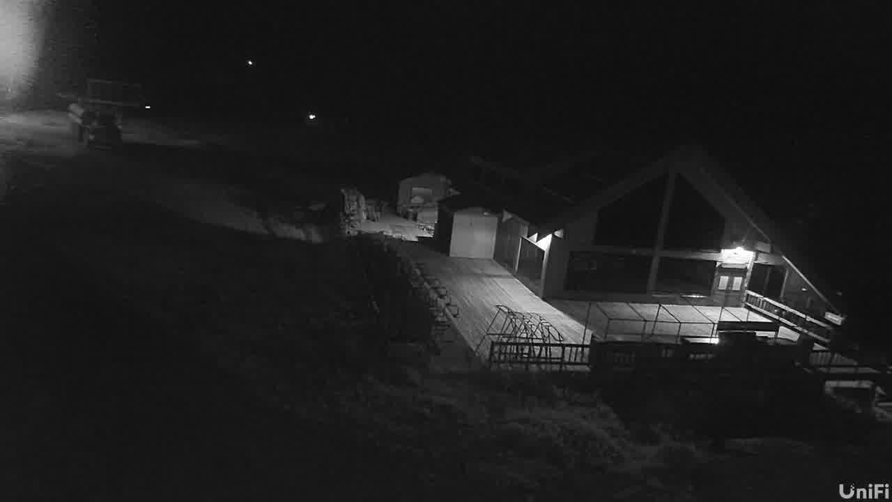 Webcam Wolf Creek: Treasure