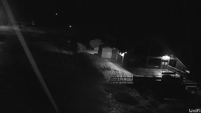 Webcam Wolf Creek: Treasure