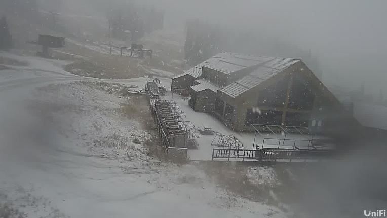 Webcam Wolf Creek: Treasure