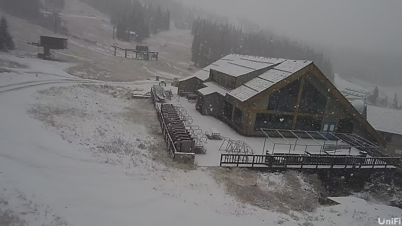 Webcam Wolf Creek: Treasure