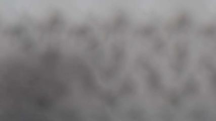 la Plagne: La roche de mio (la-plagne.com)