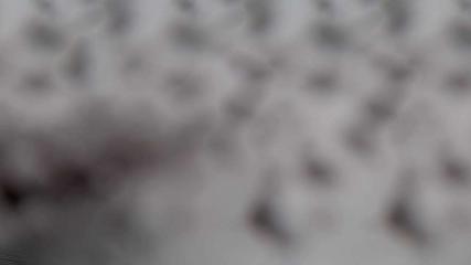 la Plagne: La roche de mio (la-plagne.com)